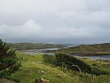 2014.08.21 Schottland - Stonechats Croft bei Ron in Sutherland (2974)